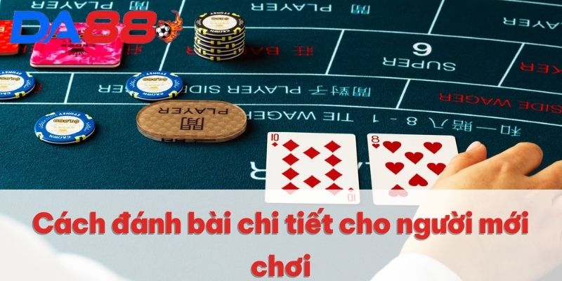 Cách đánh bài chi tiết cho người mới chơi Cách đánh bài chi tiết cho người mới chơi
