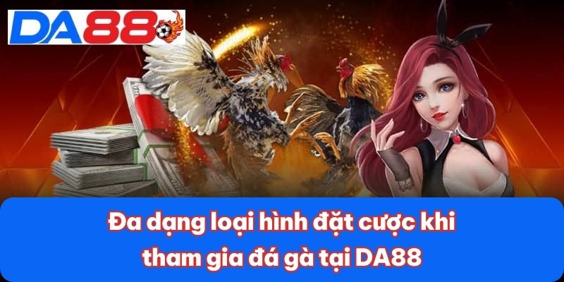 Đa dạng loại hình đặt cược khi tham gia đá gà tại DA88 Đa dạng loại hình đặt cược khi tham gia đá gà tại DA88